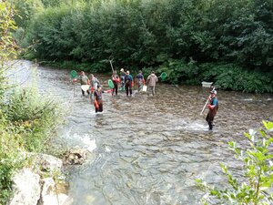 Le Louron encore classé en 2023 comme une des meilleures rivières pyrénéennes